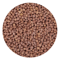 Desi-Chana